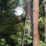 Montaż anteny na drzewie w Przeczycach